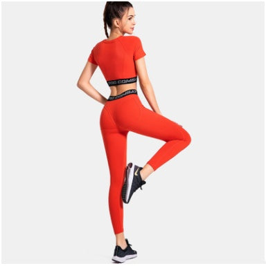 Tigh-Performance Gym Running Tights