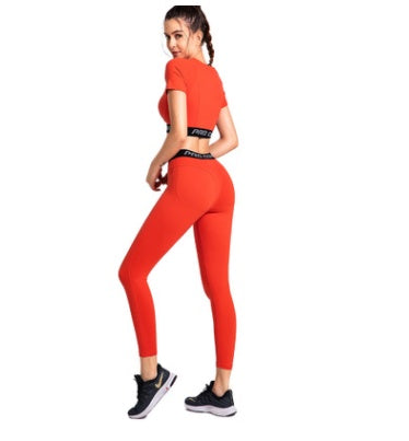 Tigh-Performance Gym Running Tights